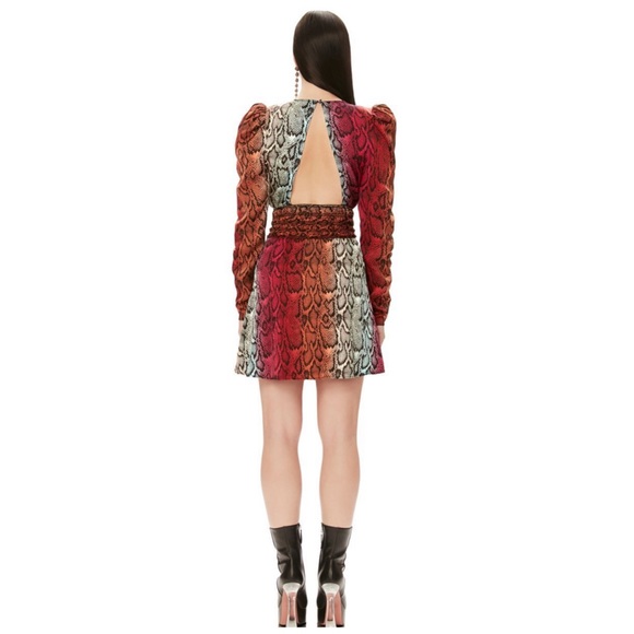 AFRM Violaine Long Sleeve Dress In Snake Ombre - Picture 3 of 7